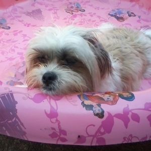 Meet your Posher, Teresa